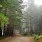 Kings Peak Road DSC_0139