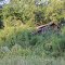 Abandoned House