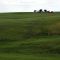 Wheat Ranch in E. Washington