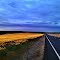 Lind, WA