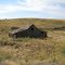 Hay barn ruin near Paha