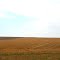 wheat country of the Palouse