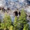 Eagles Nest in Eagles Bluff