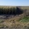 Pg 6 J road south