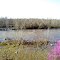 Staunton River