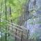 Swinging Bridge near Yellow cr