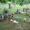 Ocoonita cemetery