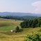 Scott Hollow