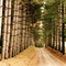 Skyview Ranch, Millersburg, OH