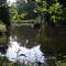 Pond at Honey Run