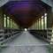 Covered Bridge Killbuck, Ohio