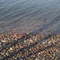 Lake Ontario near Pulaski