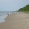 Lake Ontario Beach