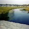 sandune between at Sandy Pond & Lake Ontario 8/1997 (before they destroyed it)