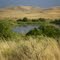 Sheep Creek swamp