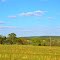 Rural Barbour County
