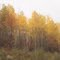 Mesabi Trail