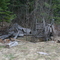 old cabin, Ferguson Lake