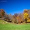 Ona, West Virginia In Fall