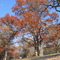 Old Traverse Cemetery