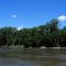 Swolen Minnesota River from the boat launch, Henderson, Minnesota