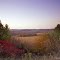 Autumn In Minnesota