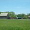 Definitely Mabee Farm