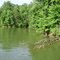 Lake Norman State Park, NC