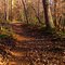 Alder Trail, Lake Norman State Park