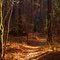Itusi Trail, Lake Norman State Park