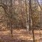 Lake Norman State Park Panorama