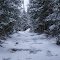 Averill Peak trail
