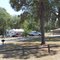 RV Park at Reed Bingham