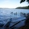 Pickwick Lake down Bear Creek