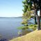 Riverton Rose Trail