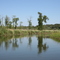 Otter Tail River Late Summer