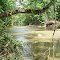 Honey Creek