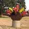 Turkey Hay