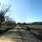 Rural Road Panorama in Donasonville, GA