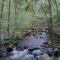 Whaley Lake Stream, Poughquaq NY
