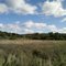 LaGrangeville, NY Farm Field
