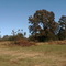just outside 866 Mt. Zion Road, Mt. Olive MS