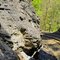 Looking back while riding Big South Fork Scenic Railway