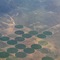 Crop circles over Kansas...real crops