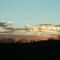 DSCF0404