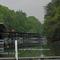 Big Ridge Marina slew