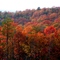 blue ridge, ga fall color 2007