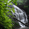 Green Cascade