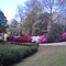 Spring in Blue Ridge