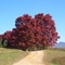 No Georgia Country Road